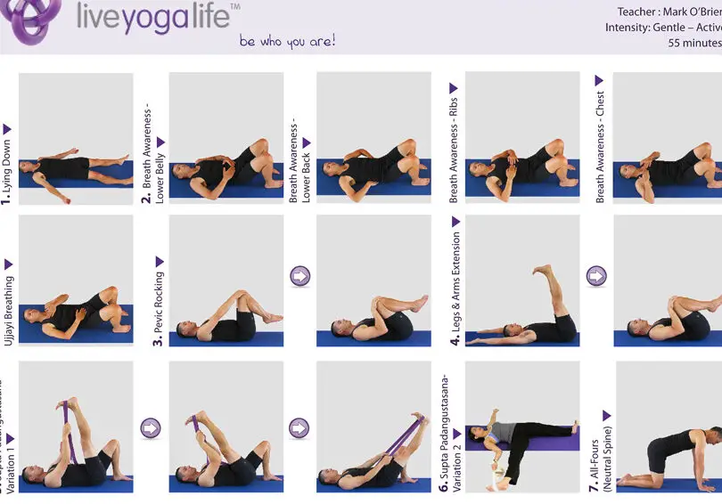 Vinyasa Hatha Beginners Class 1 | Live Yoga Life